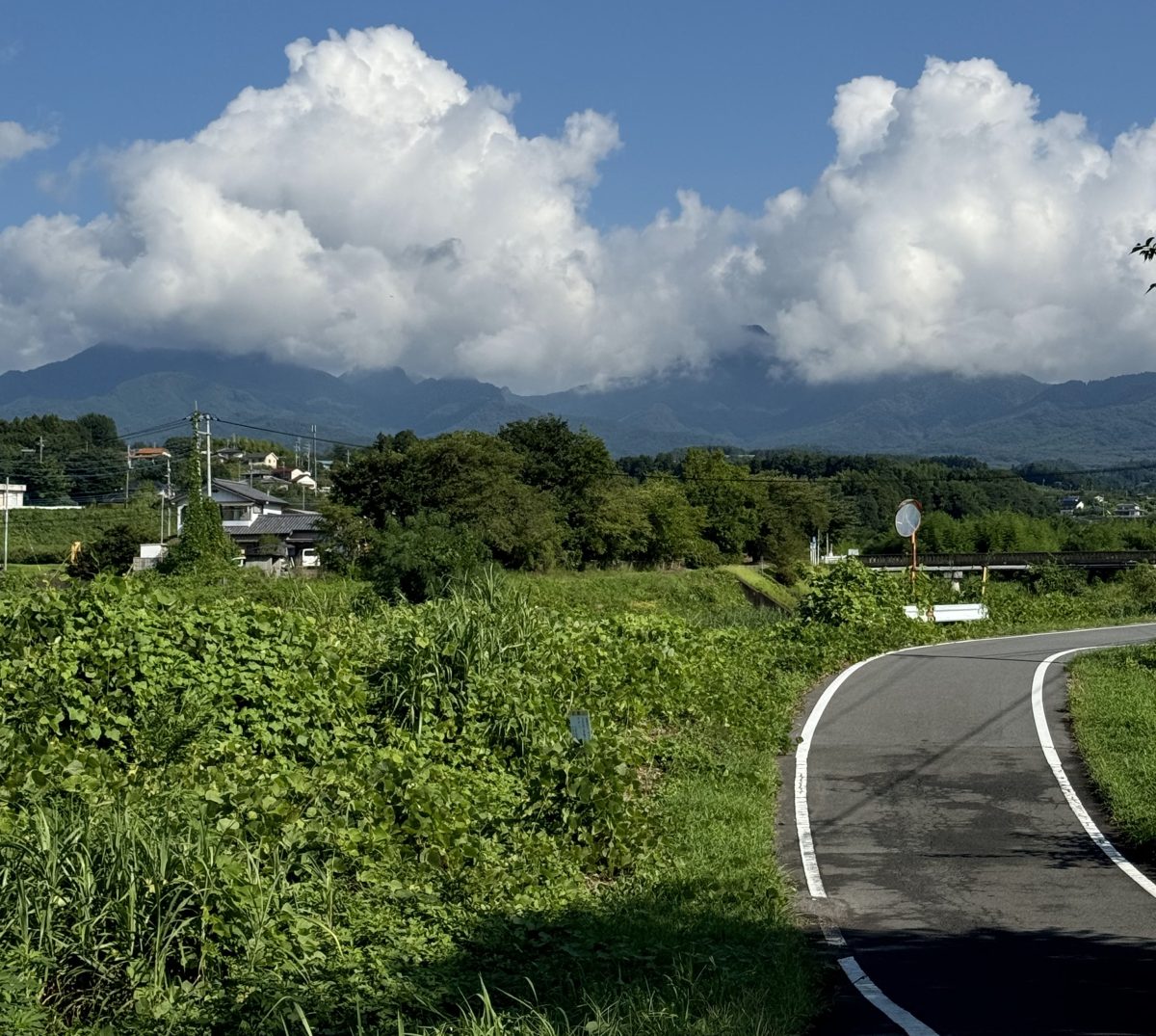 酷暑の朝ランを乗り切るために